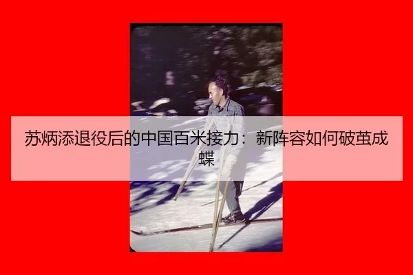 su-bing-tian-tui-yi-hou-de-zhong-guo-bai-mi-jie-li-xin-zhen-rong-ru-he-po-jian-cheng-die-2-220.jpg