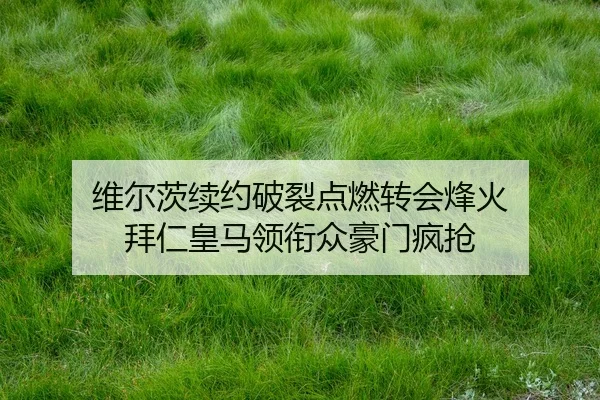 wei-er-ci-xu-yue-po-lie-dian-ran-zhuan-hui-feng-huo-bai-ren-huang-ma-ling-xian-zhong-hao-men-feng-qiang-2-714.jpg